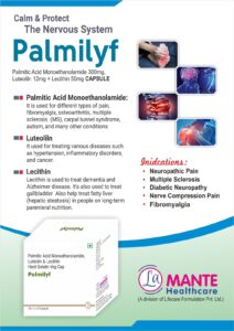 Palmilyf
